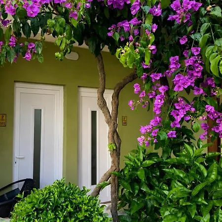 Frea Standart Apartamento