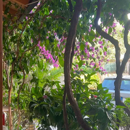 Frea Standart Apartamento Durrës